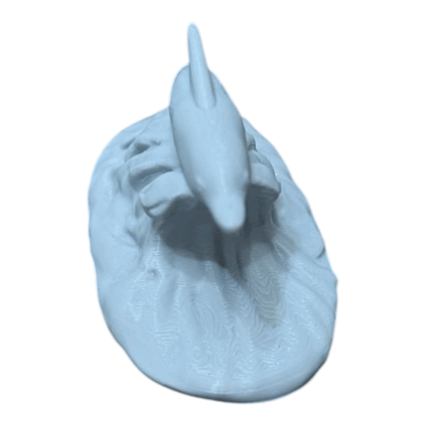 DoSA Mini Dolphin Single